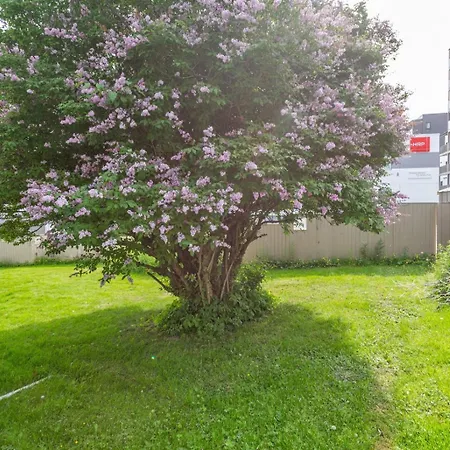 Entire 2-Bedroom Apartment With Private Entrance Near Tromso City Centre Exterior photo