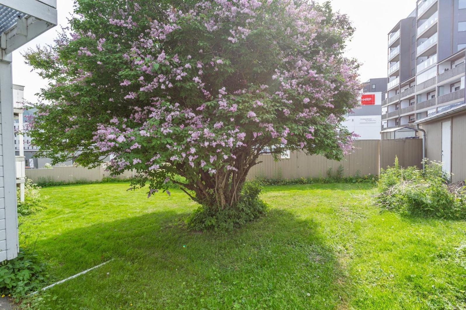 Appartamento Entire 2-bedroom With Private Entrance Near Centre